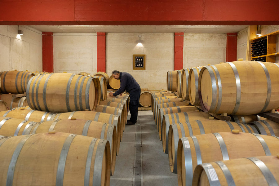 vvN6GZF1_2U4A0368 (1).jpg